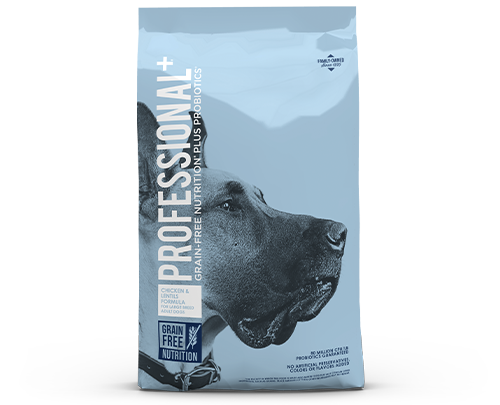 Professional Plus Large Breed product bag image